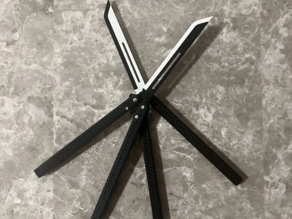 https://makerworld.bblmw.com/makerworld/model/USa8953c2a46b25e/design/2026-01-17_f0277f511e92b8.jpg