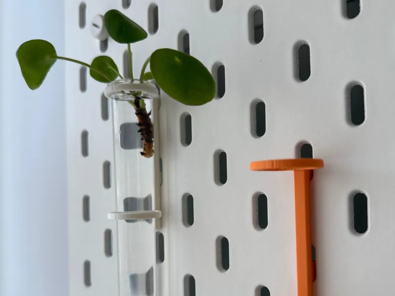 Ikea Skadis test tube stand for plant propagation