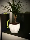 Fast Vasemode-0.2mm layer, 1 walls, 0% infill