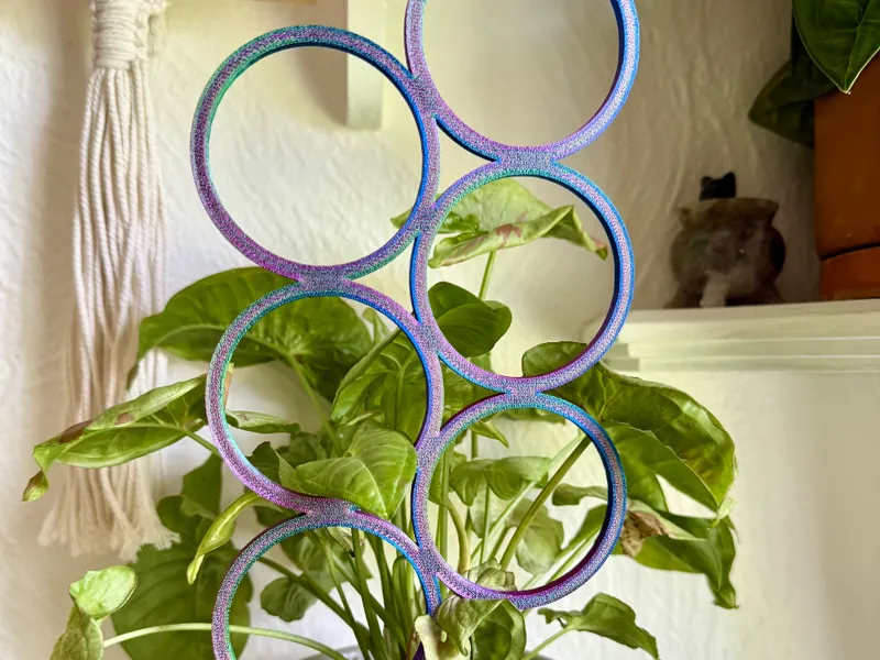 Circle Trellis