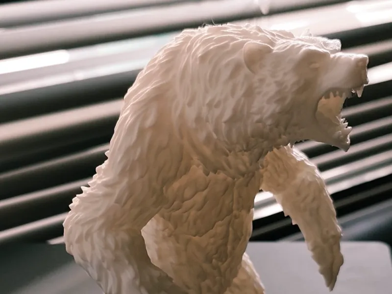 Furious Bear