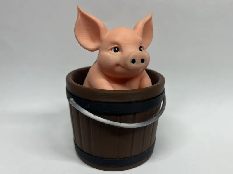 Pig in a Bucket