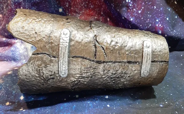 https://makerworld.bblmw.com/makerworld/model/USa8a204ee2193e/design/2024-08-20_ed928d42d34d3.jpg