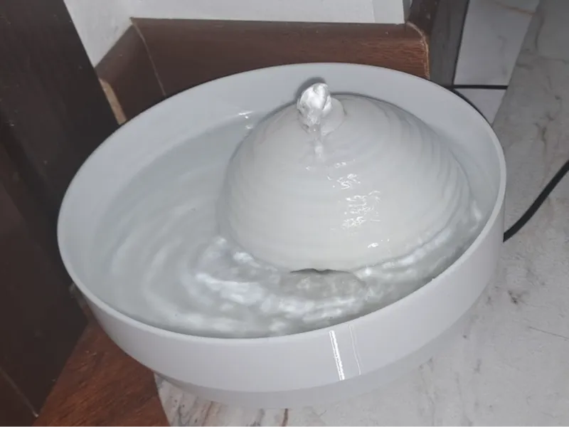 Ciotola acqua per gatti con fontana