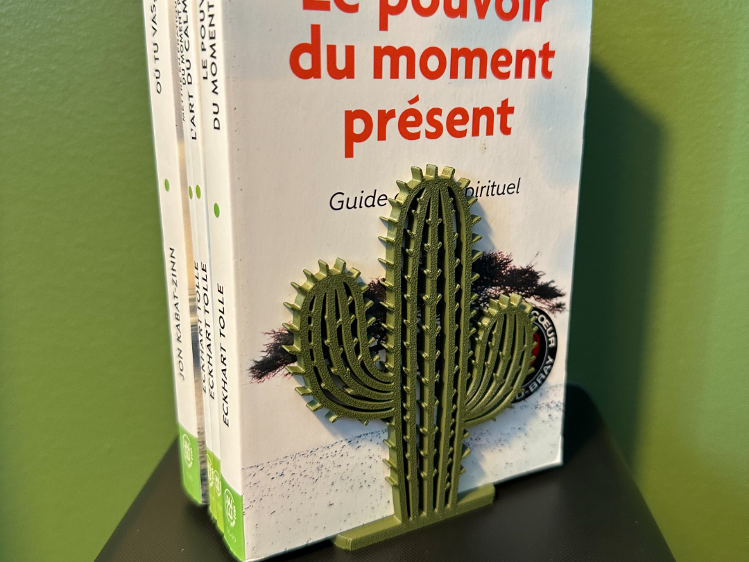 Serre-livres Cactus -SANS AMS-