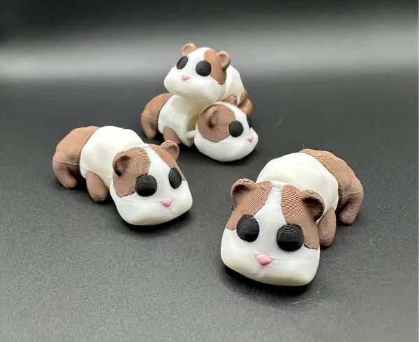 https://makerworld.bblmw.com/makerworld/model/USa8b5abd5484425/design/2024-10-16_b33d6d9ec8922.jpeg