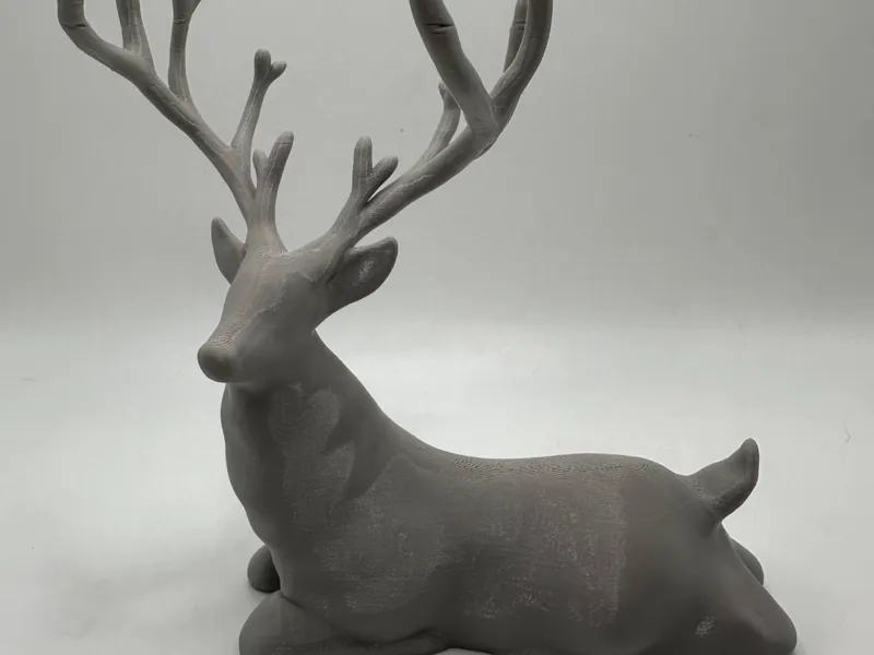 Laying Deer