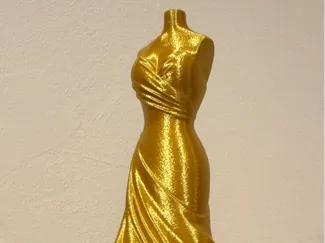 Trofeu Vestido