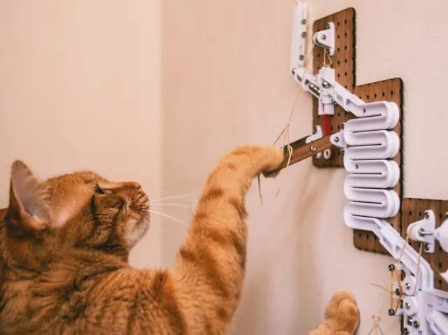 Meowballs: A Marble Run Treat Dispenser