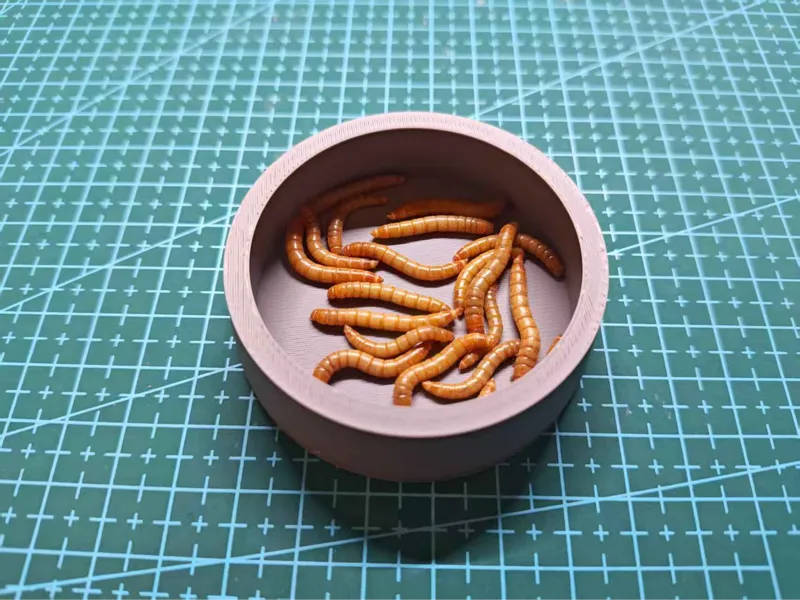 爬宠防逃逸食盆（无需支撑，30分钟快速打印）