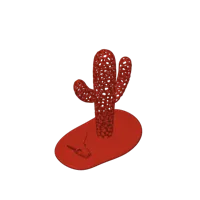 Squelette de cactus saguaro — photo 4