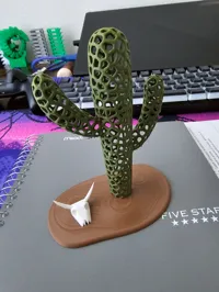 Squelette de cactus saguaro — photo 5