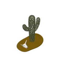 Squelette de cactus saguaro — photo 6