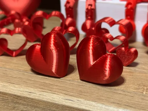 https://makerworld.bblmw.com/makerworld/model/USa8dee5117ec505/design/2025-01-05_ca3062f5048f2.jpg