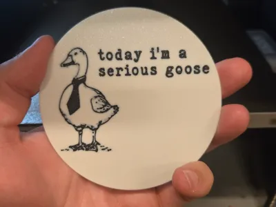 Serious Goose Coaster
