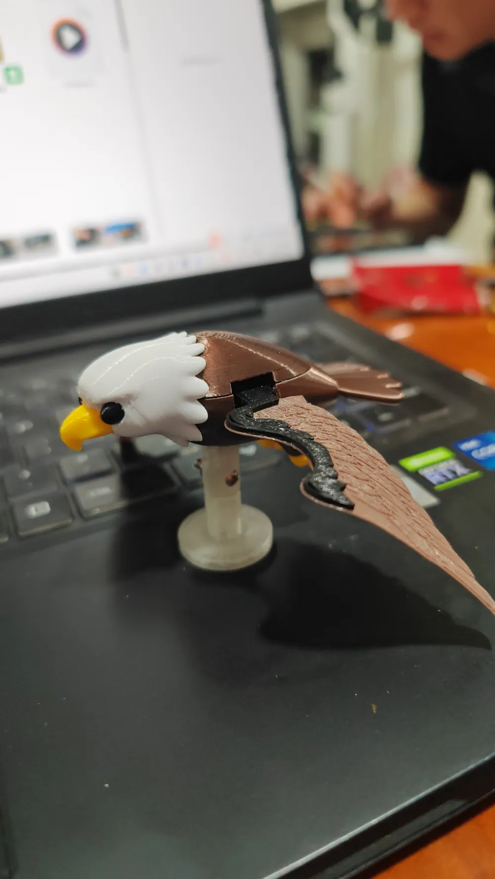 Flying Companion Bald Eagle (includes fully separated parts version and ...