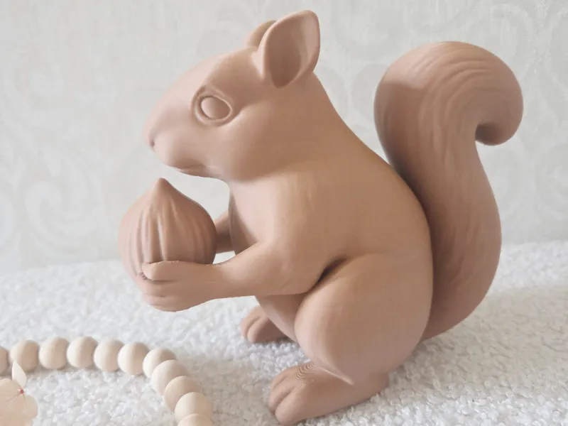 Eichhörnchen