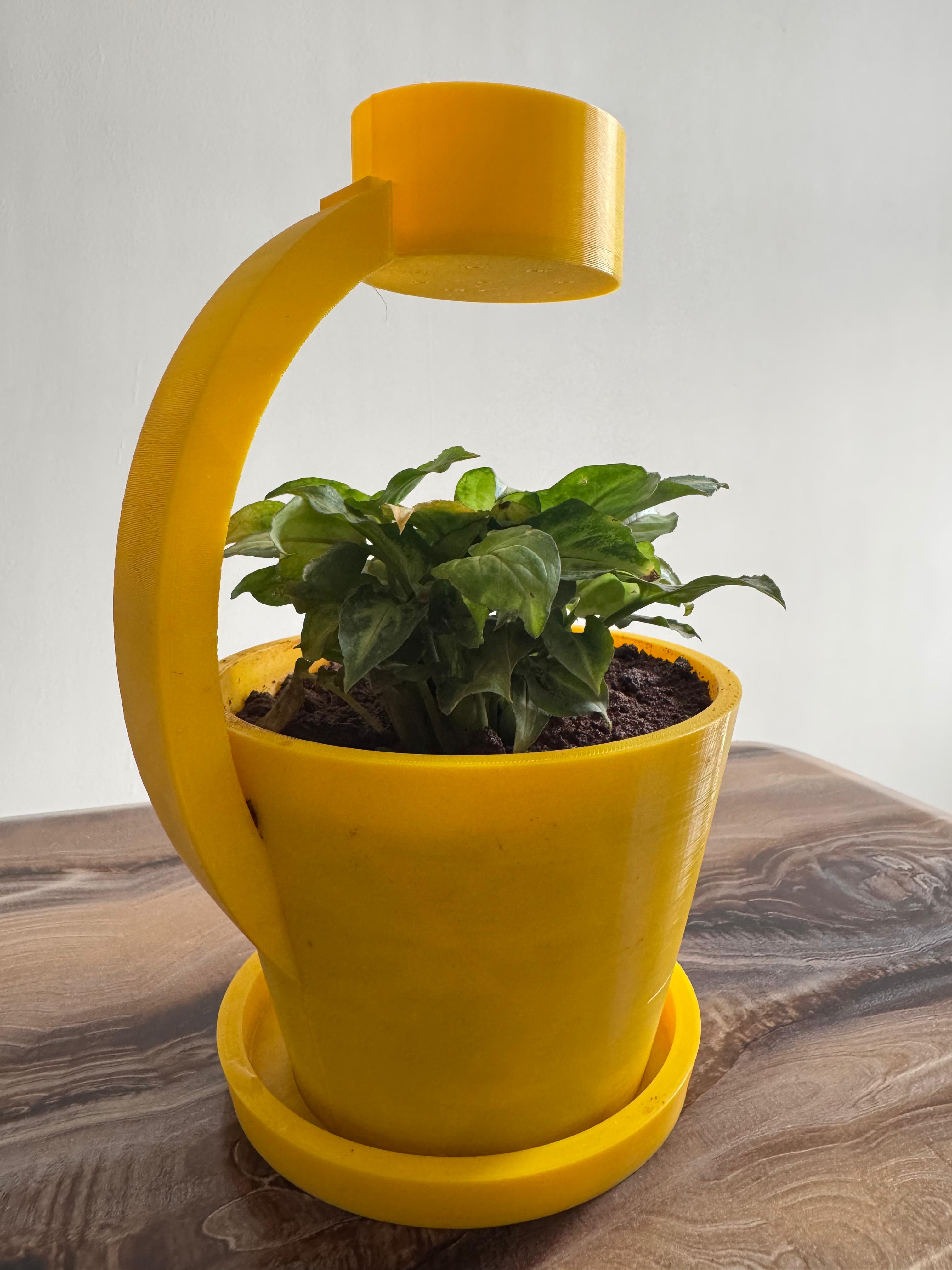 Miniatura 2 do modelo 3D Rain Planter