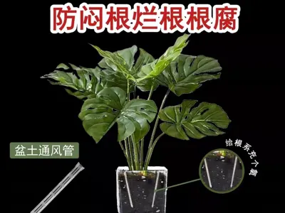 Ventilation Tube for Flower Pots: Prevents Root Suffocation and Rot, Promotes Explosive Root Growth, Easy to Print