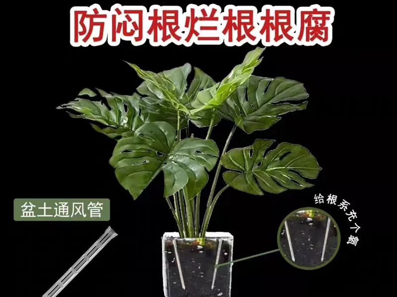 通风管通气管透气管防闷根烂根根腐病透气花盆爆根易打