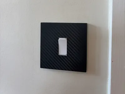 Light switch cover