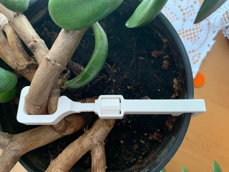 Adjustable plant support