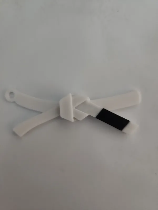 https://makerworld.bblmw.com/makerworld/model/USa8f943b73b0ae4/design/2024-01-23_65f624d651853.jpg