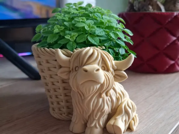 https://makerworld.bblmw.com/makerworld/model/USa8fe9d85ec9162/design/d833a3c1700070dd.jpg
