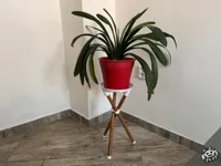 22mm_Tripod Side Table-PETG (with PLA support layer)
