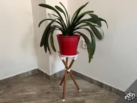 23mm_Tripod Side Table-PETG (with PLA support layer)