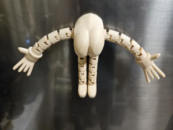 https://makerworld.bblmw.com/makerworld/model/USa9058fed2e1072/design/2025-01-05_7819550fb3ca6.jpg