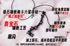 If you have necklace cord, print this one directly (without the TPU clasp)