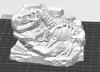 LARGE The Excavated King Tyrannosaurus Rex Fossil Block