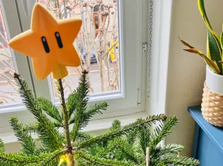 Etoile de Noël Mario
