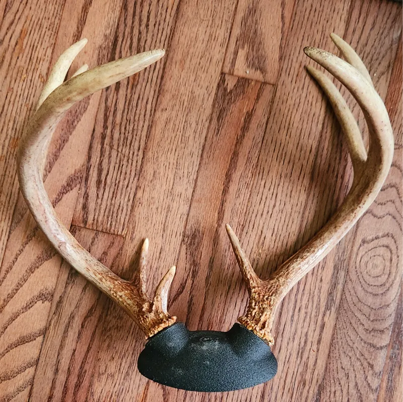 Whitetail Deer "Skull" Plate - Shed Antler Mount