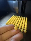 25 Chicken