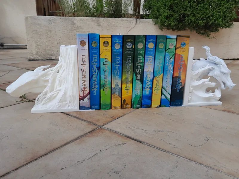 presse livre Dragon, Wings of fire