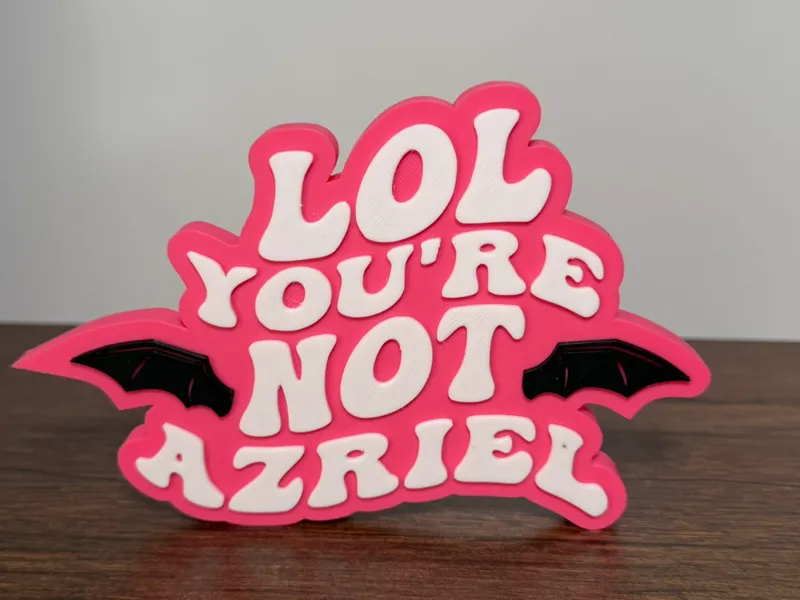 LOL You're Not Azriel Sign