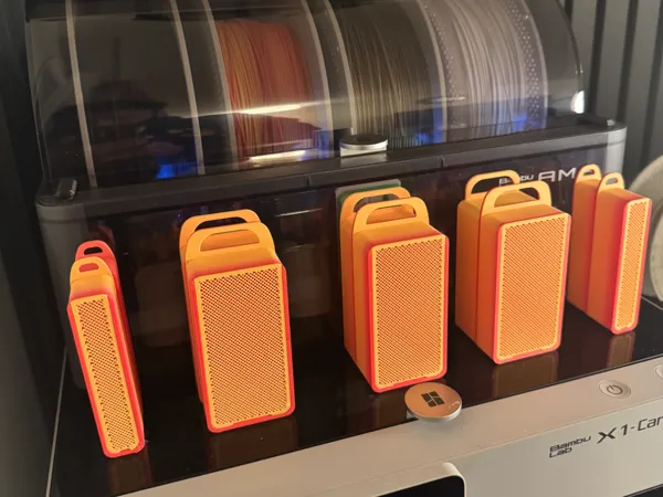 https://makerworld.bblmw.com/makerworld/model/USa91df9b07293fa/design/2024-12-20_43daa033e54f7.jpeg
