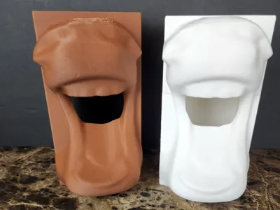 Horse Mouth Tissue Box Cover