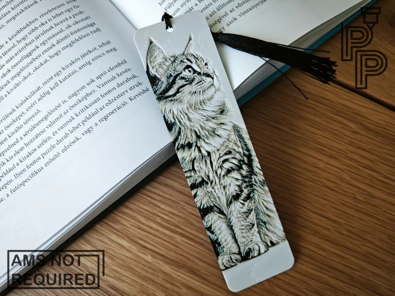 Maine Coon Cat Bookmark