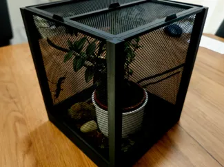 Mesh Terrarium for Mantises and Insects