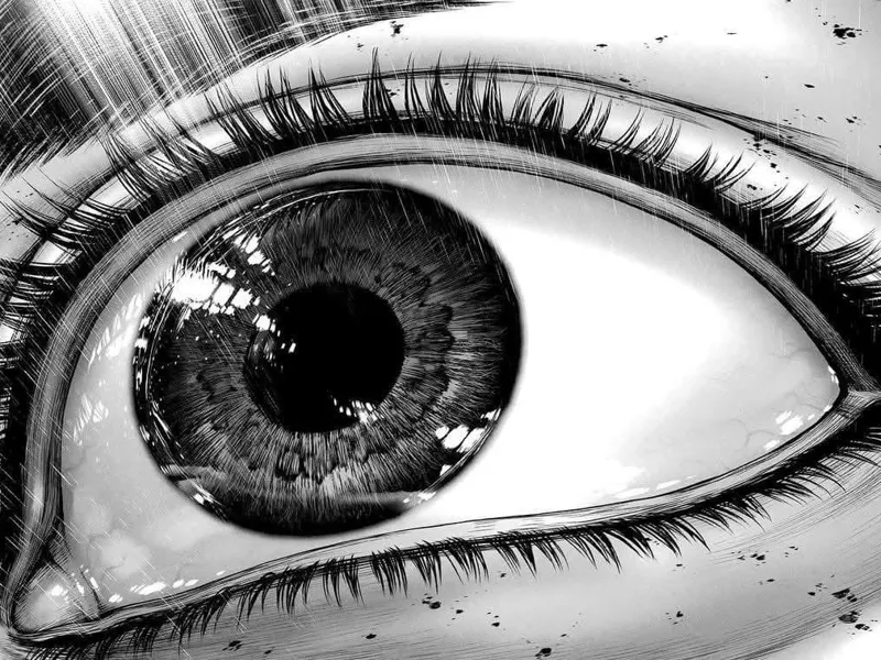 The Eye