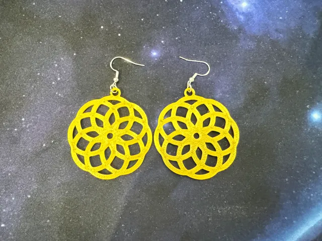 new circular earring 3