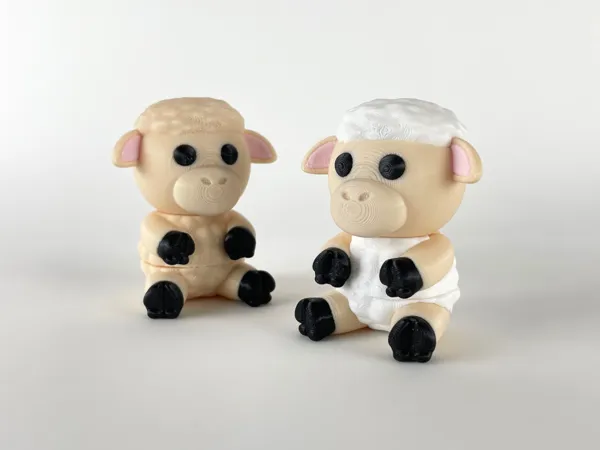 https://makerworld.bblmw.com/makerworld/model/USa92b0543cd36c9/design/2025-05-08_a66694905842a.jpg
