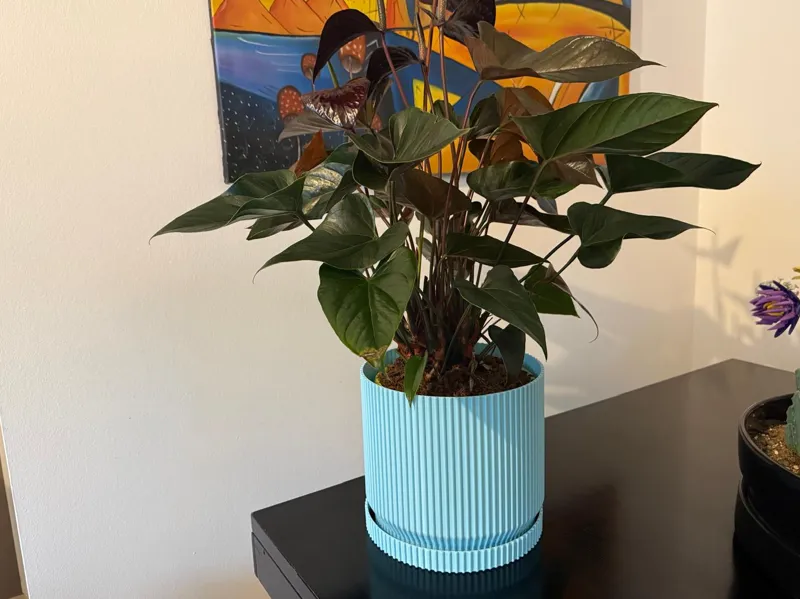 design vase
