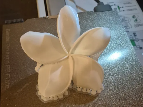 https://makerworld.bblmw.com/makerworld/model/USa930f568736dcd/design/27b1e6784b01d930.jpg