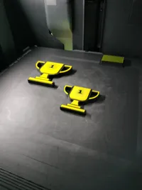 0.16mm layer, 2 walls, 30% infill