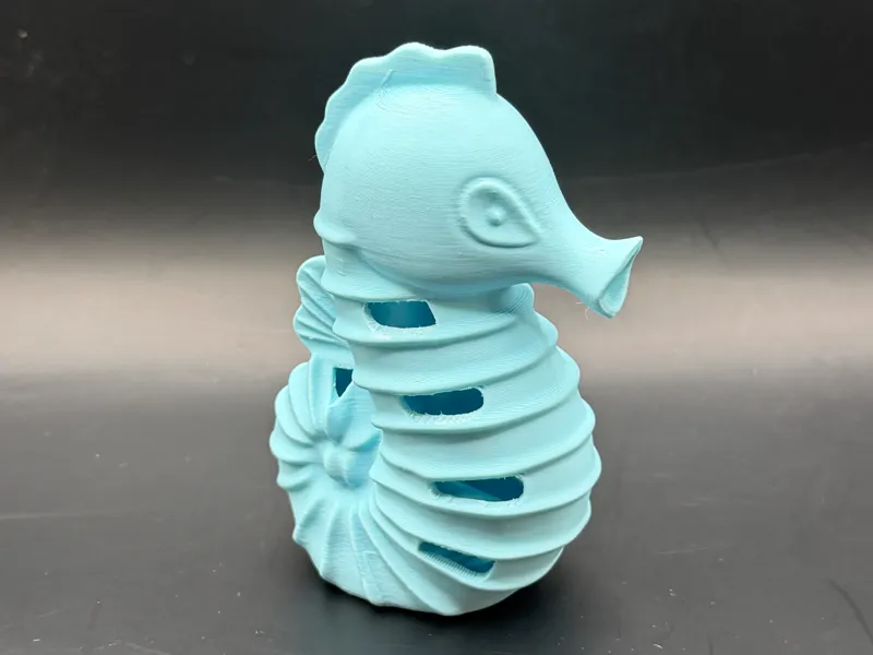 Ribbed Nautilus Seahorse