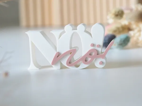 https://makerworld.bblmw.com/makerworld/model/USa937dcd646a5ec/design/2025-05-30_fa5fac82652798.jpg